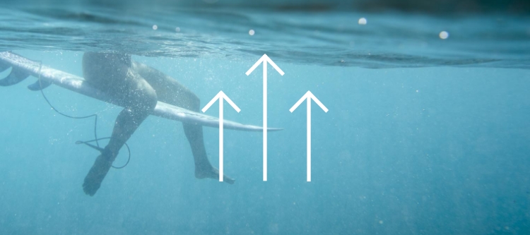 Hibiline Flutter Two Piece Bikini Set For Girls Roxy